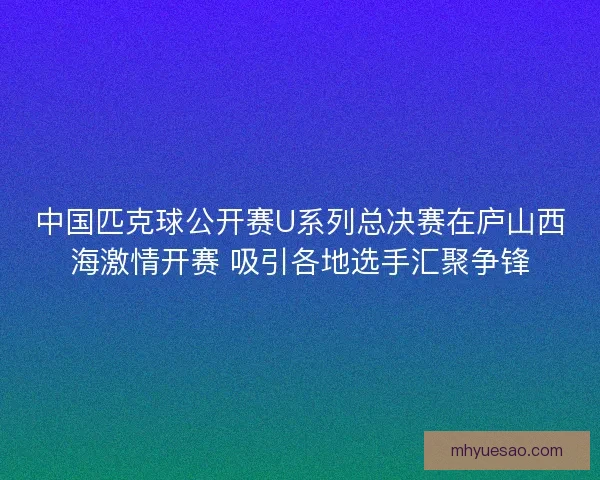 中国匹克球公开赛U系列总决赛在庐山西海激情开赛 吸引各地选手汇聚争锋