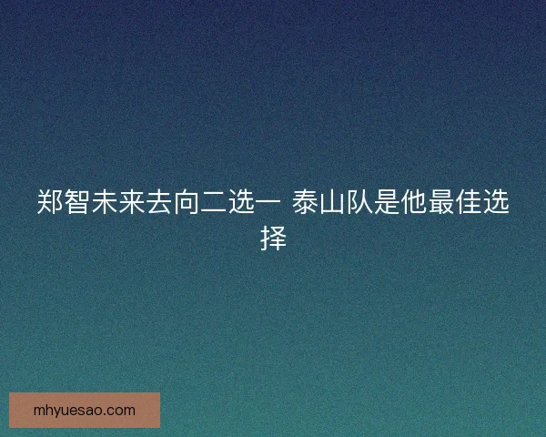 郑智未来去向二选一 泰山队是他最佳选择