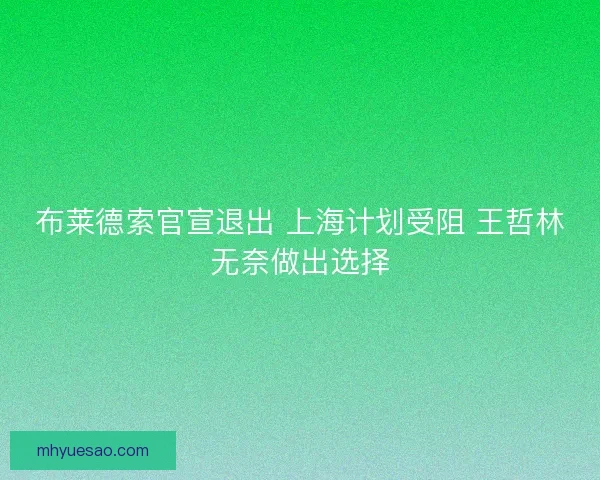 布莱德索官宣退出 上海计划受阻 王哲林无奈做出选择